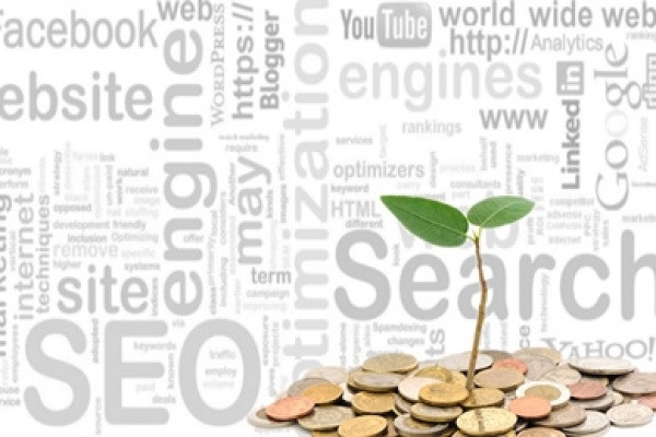 Benefits of Investing in SEO and SMO for Small Businesses